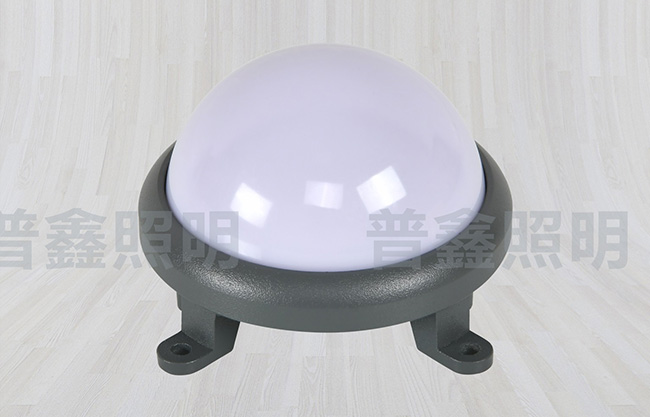 点光源系列 DGY-027 点光源系列 DGY-027